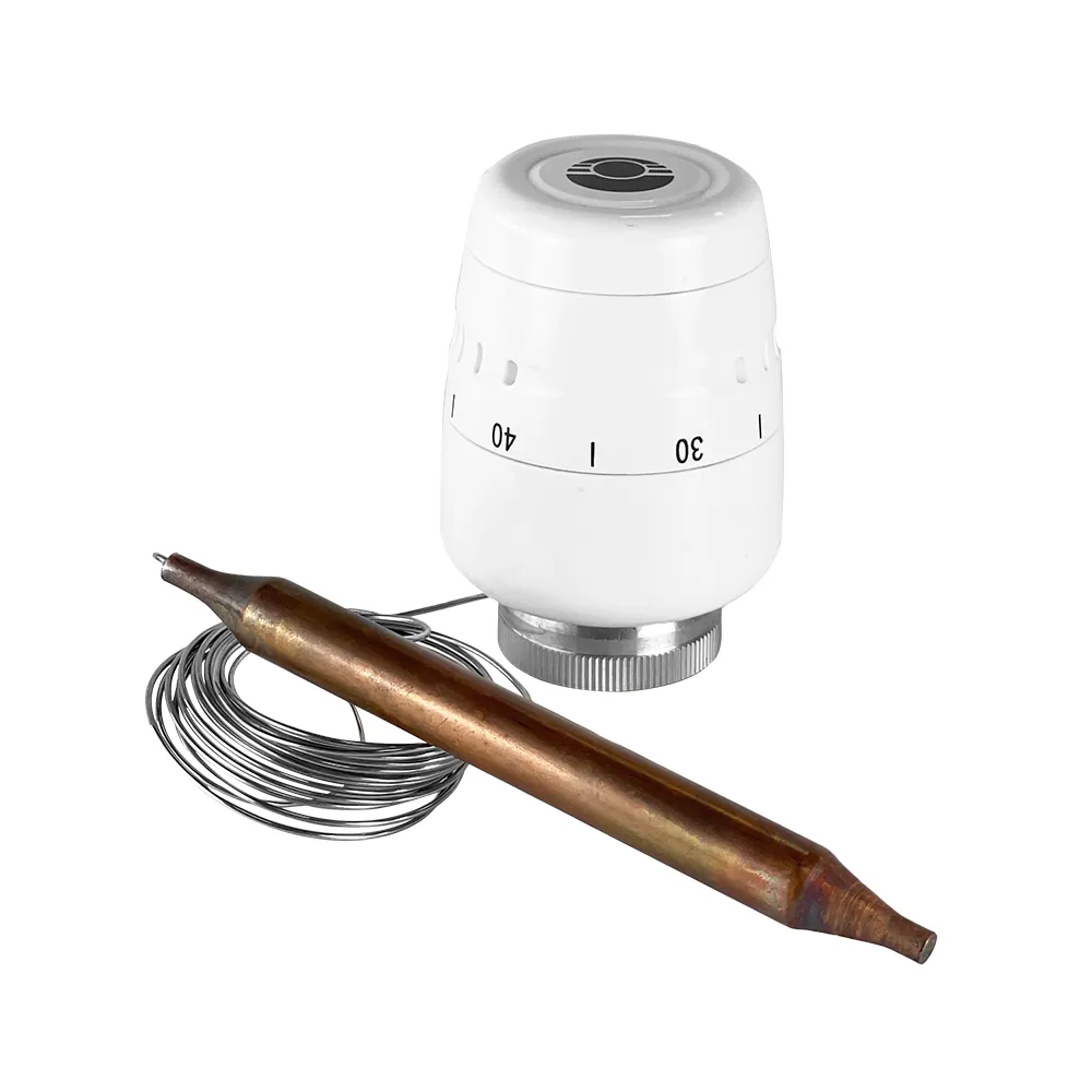 Термоголовка с погружным датчиком Valfex VF.3010.0.0