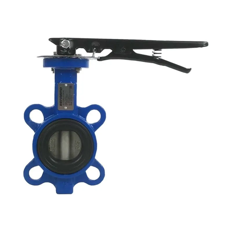 Затвор поворотный Ду  80 Ру 16 с диском из чугуна