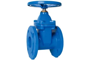 Задвижка чугунная фланцевая 30ч39р Ду  50 Ру 16