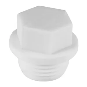 Заглушка PP-R Ду  20х1/2 с нар.р. (белая) Valfex 10163020 thumbnail